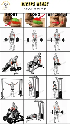 Know how to target the Biceps heads #gym #workout #triceps #biceps