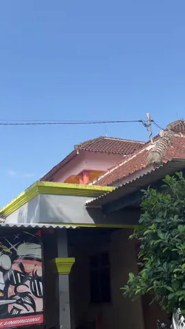 #fyp #surex #berkahdoss #crfdoss #srtmanualtech 