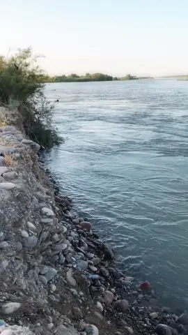 #الشعب_الصيني_ماله_حل😂😂 #الموصل #جيكو #CapCut 