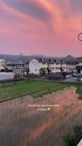 Only heard of Japan’s sunset before, but now here we are 🌅 #Sunset #Japan #japancountryside