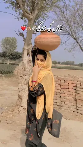 Repost🫶🏻😍tiktok please unfreeze my account#minivlog #shorts #foryou #fyp #village 