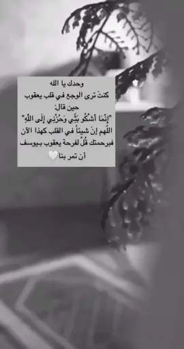 ربي ان أختي مسها الضر وانت ارحم الراحمين اللهم اشفها شفاءلايغادر سقماء اللهم خذ بيدها وحرسها بعينك الي لاتنام يأمن لايعجزك شي في الأرض ولا وفي السماء #اللهم_اشفي_مرضانا_ومرضى_المسلمين #اللهم_اشفي_انت_الشافي_شفاء_لا_يغادر_سقما #تلاوات_قرآنية #أختى #يوم_الجمعه 