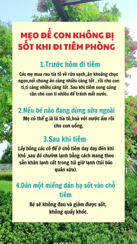 Mẹo để bé không bị sốt khi đi tiêm phòng.Ba mẹ lưu lại khi cần nhé #nuoiconnhantenh #nuoicondungcach #nuoiconkhoahoc #mẹonuoicon #chiasekinhnghiem #daycondungcach #meohaynuoicon #meembecun 