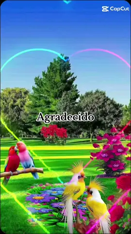 #agradecido #alabanzas_cristianas #musicacristianatiktok #alabanzasdeDios #musicacristiana🙌🙏🏼❤ #alabanzas #😇 