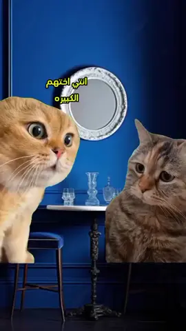 سهله وبسيطه 