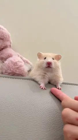 Melted ☺️