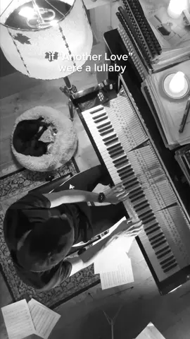 if “Another Love” were a lullaby 🖤 this is my piano interpretation of “Another Love” by @Tom Odell  #andreavanzo #anotherlove #pianomusic #pianist #pianolove #modernclassicalmusic #Love #soulmate #pianocover #catkiko #cat #catlover #pianotok 