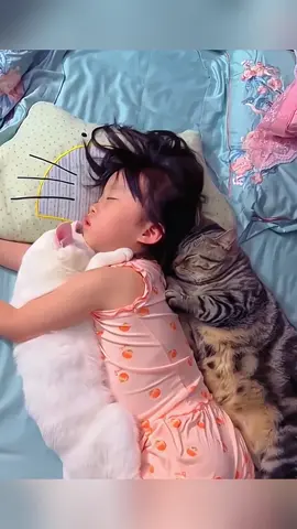 baby and cat grow up happily together ❤❤❤ #pet #cat #dog #cute #animals #foryou #fyp 
