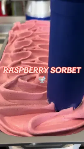 Criminisi’s Raspberry Sorbet🍧 Insanely Refreshing💦☀️ #icecream #icecreamlover #satisfying #food #Foodie #sorbet #raspberry #fruit #criminisi #gelato #dessert #sweettooth #sweet #satisfyingvideo #asmrsounds #asmrvideo #Summer 