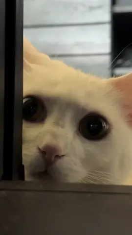 shes definitely loco