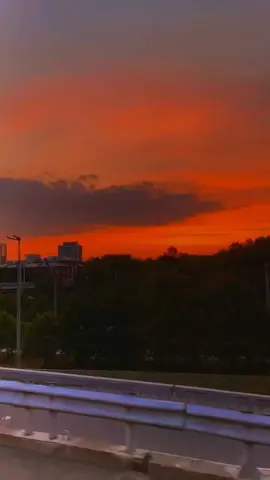 No es de la jauria pero espero y les guste 🫶🏻 #nobleesquivel #cartaamispadres #paratiiiiiiiiiiiiiiiiiiiiiiiiiiiiiii 