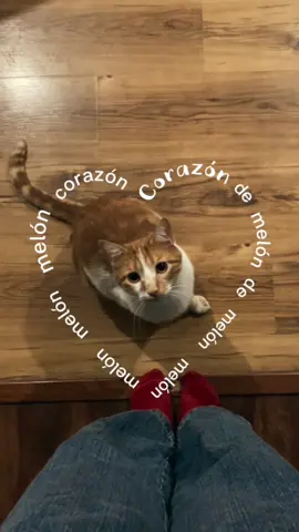 Te amo y te extraño mucho mi gordito❤️