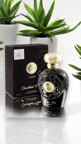 Opulent Oud 100ml By Lattafa Perfume . . . . . . . #trending #viral #foryou #fyp #follow #CapCut 