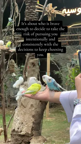 Stay safe boys and girls… 🫶🏻🩷#Love #lovestory #alhumdulillah #makkah #madina #muslim #muslimtiktok #pakistan #pakistani #uk #america #madinah #masjidquba #masjidnabawi 