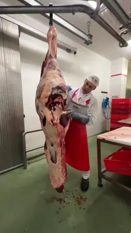 #الجزار🇲🇦اسامة🔪البداوي🔪المغربي🇲🇦 #الجزار_المغربي🇲🇦 #فن_الجزارة #الجزارة❤🔥 #جزار_محترف #الجزارة #مجزرة_biobeef #الجزارة_اللحوم #فن_تقطيع_اللحم #bochri #طعم_مختلف_من_جزار_محترف #فن_تقطيع 