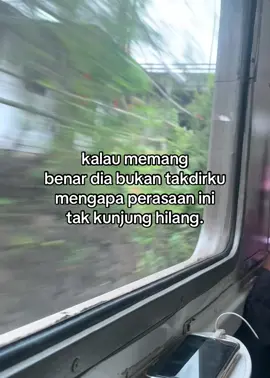 #fyp #gamon #xybca #4u #4upage #viralvideo 