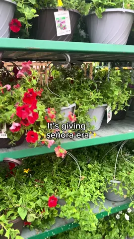 New character unlocked 🔐🔓 #señoralife #foryoupage #fypシ゚viral #foryoupage #momlife #MomsofTikTok #mamasoftiktok #viral #fyp #sahm #latinastiktok 