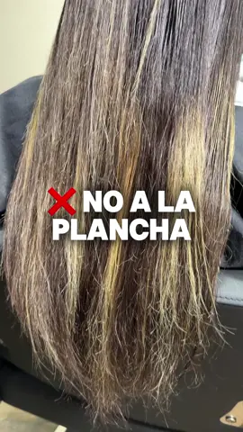 Puedes estar quemando tu cabello con la plancha y no lo sabias 😰 #plancha #quemar #cabello #opaco #deshidratado #terapia #coffe #terapiacapilar #nomasplancha 