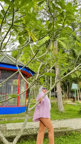 style dari belibe_lla.ID cooming soon.. #fashion #fyp #jambi 