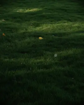 tinh yeu cham tre. #ducwtaif 