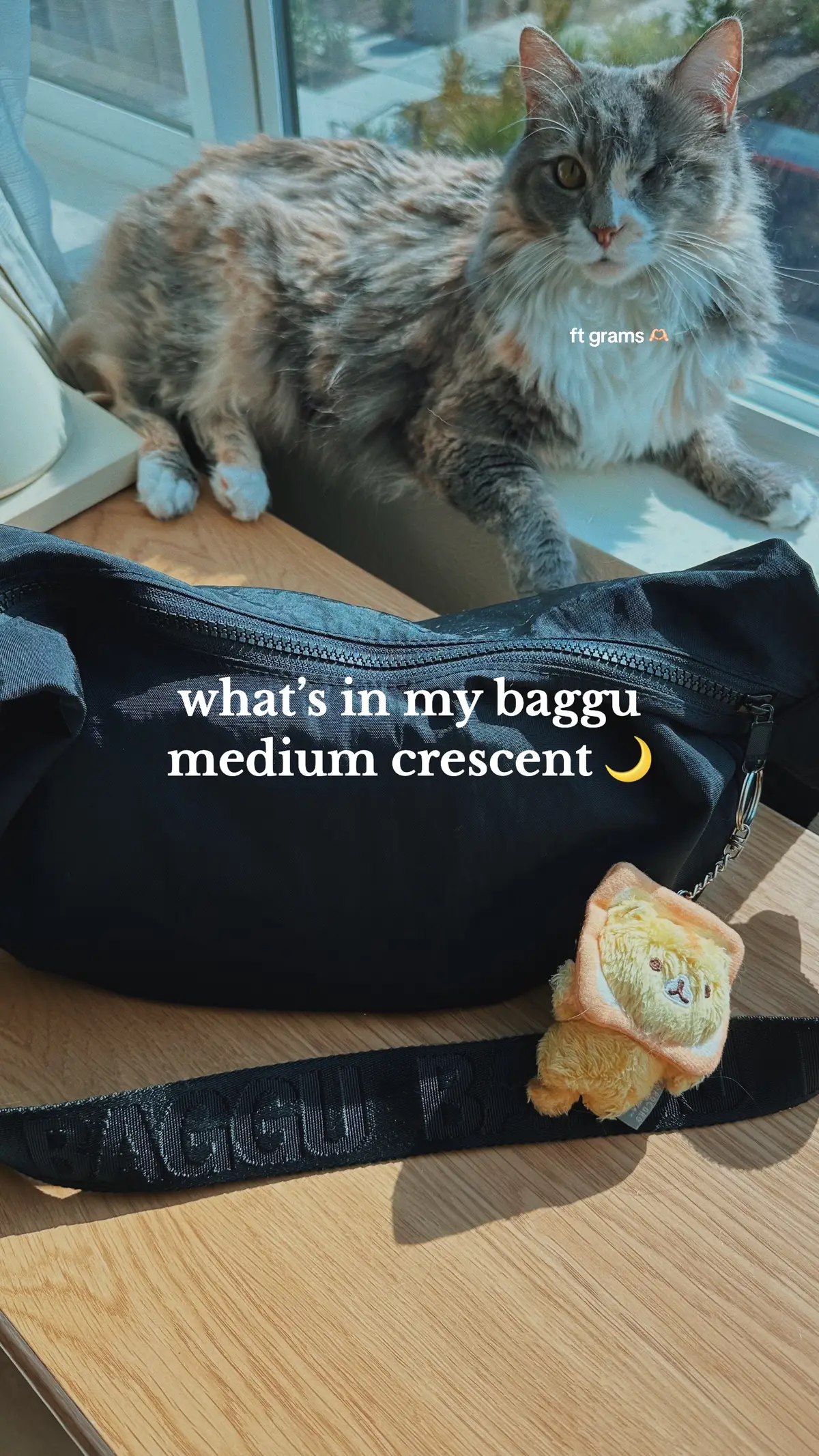 Always using my @BAGGU medium crescent when im running errands or going out🥰 #baggu #whatsinmybag #whatsinmybaggu 