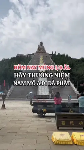 Nam mô a di đà phật #nammoadidaphat 