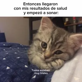 Perdón :(( #fyp #fyp #parati 