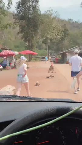 นั่งรอนานแล้วนะเมื่อไหร่รถไฟจะมา #ไร้สาระไปวันๆ 