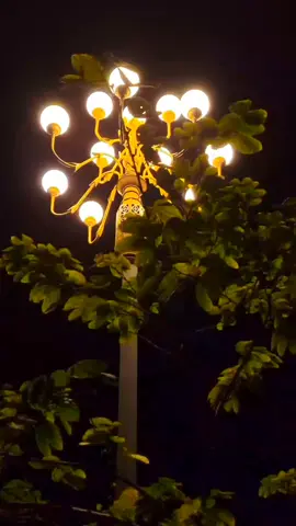 Never dwell on the past😅#foryoupage #viral #supportsmallbusiness 