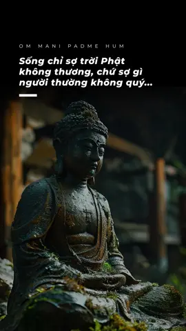 Chỉ sợ Trời Phật... #buddha #nammoadidaphat #ommanipadmehum #phatphapnhiemmau #xuhuong  #chanlycuocsong 