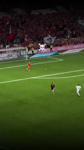 #leverkusen fans after #Wirtz goal  #football #bundesliga #fans 