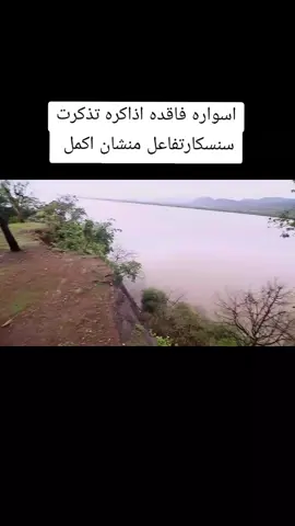 #الحب❤️ #ما #قتل #اكبسلور_export #اكبسلور_export🥺🦋لايك_تعليق 