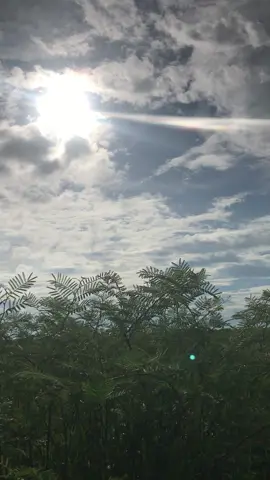 Sunset lgi #sunsetsianghari #sunsetbagusss #sunsetlgi #nantisore 