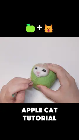 DIY Apple Cat #meme #cutecat #handmade #DIY #viral #foryou