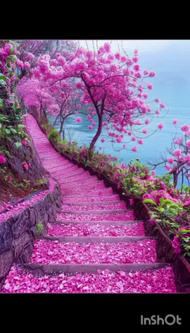 اللهم امين يارب #foryourpage #fyp #viral #viral 