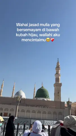 Assalamualaikum ya rasulullah,terimakasih ya allah di kasih kesempatan untuk datang ke tempat ini🥹❤️‍🩹 #madinah #madinahalmunawaroh #raudah #rasulullah #nabimuhammad #masyaallahtabarakkallah #haji2024 