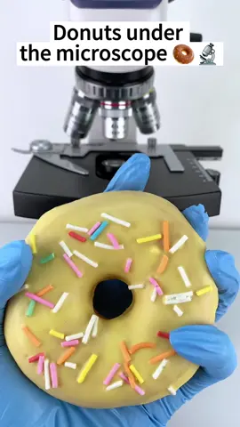 Donuts is beautiful at 400x under a microscope!#microscope 