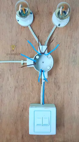 Electrical Wiring: 2 Gang switch wiring connection in junction box tutorial If you think it is useful, Like Comment and Share to your friends.  _______ I am the owner to of these video and I can not earn any money for TikTok account.  To support me, Sponsor me to promote your products.  Cam-Tips #camtips1 