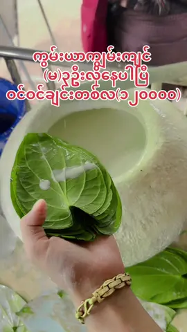 ဆက်သွယ်ရန်☎️09663789748အမြန်လေးဆက်သွယ်ပေးပါရန်❤️#မန်းလေးမိုးကုတ်ကားလမ်းလင်းမွေချောင်းကျေးရွာချယ်ရီကွမ်းယာဆိုင်1 #ရောက်ချင်တဲ့နေရာရောက်👌 #ကွမ်းယာသည်လေးပါနော်😍 #ချစ်ပေးကြအုန်းနော်😍😘😘 #tiktokmyanmar🇲🇲 #tiktok 