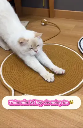 #xuhuong #thamcaomongchomeo #thảmcàomóngchomèo #yeuchomeo #happypet #chamsocthucung  @Happy.Pets  @Happy.Pets  @Happy.Pets 