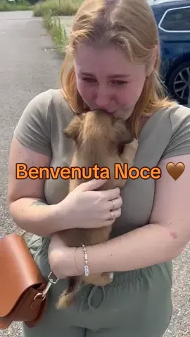 Benvenuta Noce 🤎   #adoptdontshop #adoptme #dog #adopteddog #puppy #puppydog 