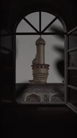 طولك بساتين العشق💔#محمد_باقر_الخاقاني #حسين_الاماره 