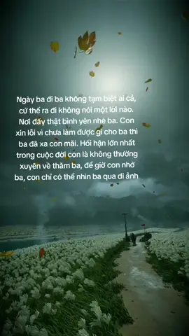 Giá như đây chỉ là giấc mơ, con mãi mãi mất ba thật rồi, con nhớ ba lắm ba ơi.