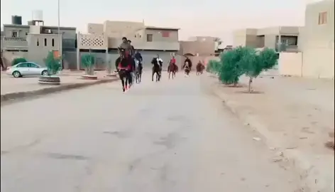 #الخيل_من_خيالها #عقدالخوت🇱🇾❤️ #كل #الريس #ادري #سبها_ليبيا_الجنوب_الليبي #الشاطي #الجنوب #الشعبي #اليبيا🇱🇾 #الجنوب_العربي #الشعب_الصيني_ماله_حل😂😂 #🇱🇾 @الخيل_عشق_لاينتهي🐎🐴 