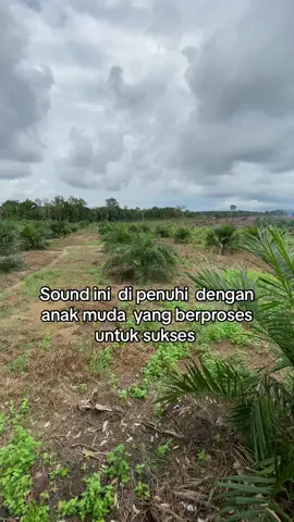 Anak muda  dengan seribu impian tidak boleh tumbang karna keadaan,  ttp smngt ok💪🏻@Dill #petanimuda #sawitstory🌴🌴🌴 #petanimilenial #sawitsumatraindonesia🌴🌴🌴 #sawitbangka #dillamln #sawitindonesia #sawit🌴 #petanicewek #bossmuda #sawitbalap #petanisawit #sawitkatakata #sawitsumatra #sawitontiktok #sawit #cewesawit 
