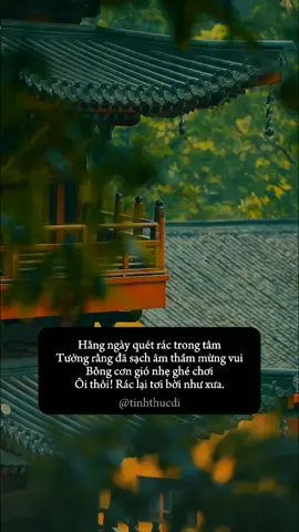 Phần 29| Hằng ngày quet rác trong tâm... #tinhthucdi #phatphap 