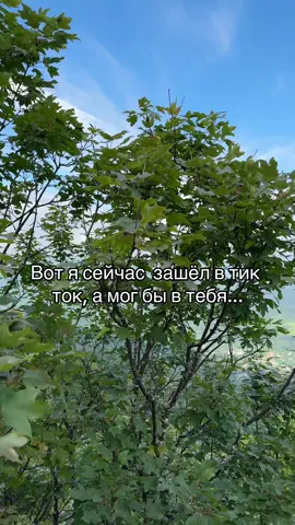 Отмечай ту самую #CapCut #capcutvelocity #🇺🇦 #героямслава #рекомендации #rec #глобальныерекомендации #typ #ночнойактив #дайвинчик #рек #slon_tyt #underground #Love #🤣🤣🤣 #fypシ #on #fyp 