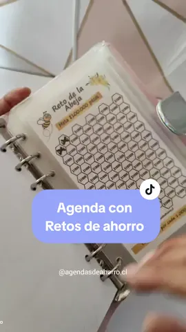 Una forma divertida que te motivará ahorrar✨ el link de mi Página Web está en la descripción de mi biografía 🛒 #organigastos  #organigastospersonalizados #cash #cashmoney #dinero #ahorro #ahorrochallenge #productividad  #personalizado #chile #parati #agendas #viralvideo #amorpropio #santiagodechile #binder #agendasfinancieras #agendasdeahorro  #parati #pesoschilenos #ahorrolucas #fyp  #fypシ #finanzaspersonales #presupuesto #sistemadeahorro #ahorroensobres #carpetaorganizadora #SmallBusiness 