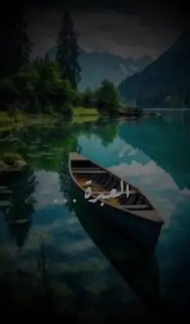 ##قالوا_أءنّك_لأنت_يوسف_قال_أنا_يوسف#وهذا_أخي #قران_كريم #سورة_يوسف #😭 ####