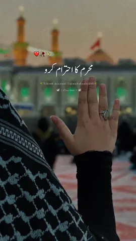 Muharram ka ehtram karo ☝💯💔🕊 ...... #islamic_video #islamicstatus #muslimtiktok #ownvoice #foryou #foryoupage #foryoupageofficiall #karbala #moharram @TikTok @TiktokPakistanOfficial 